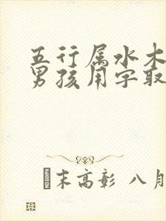 五行属水木的字男孩用字取名