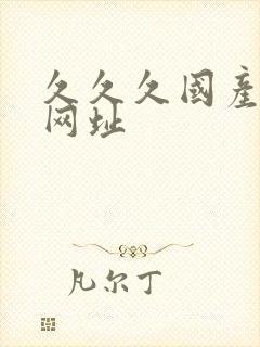 久久久国产精品网址