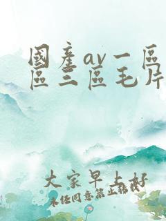 国产av一区二区三区毛片