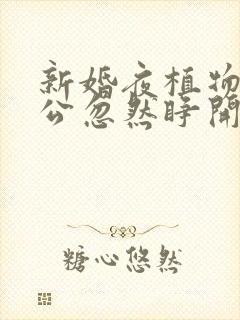 新婚夜植物人老公忽然睁开眼了