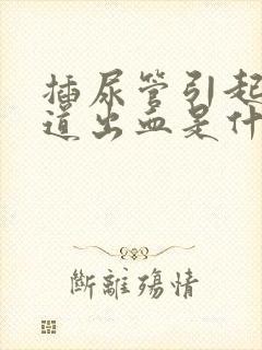 插尿管引起的尿道出血是什么原因