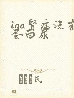 iga肾病没有蛋白尿