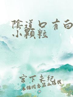 阴道口有白色的小颗粒