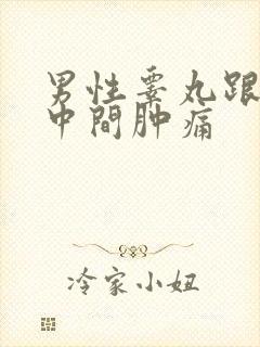 男性睾丸跟肛门中间肿痛