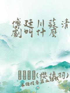 傅廷川苏清欢短剧叫什么