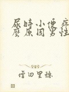 尿时小便疼是什么原因男性