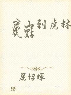 密山到虎林客车几点