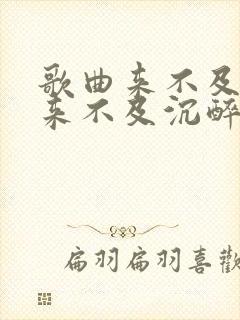 歌曲来不及等待来不及沉醉