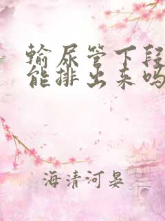 输尿管下段结石能排出来吗