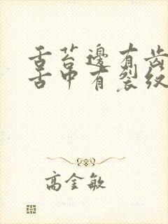 舌苔边有齿痕 舌中有裂纹