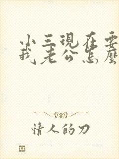 小三现在要起诉我老公怎么办