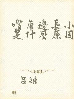 嘴角边长小水泡是什么原因