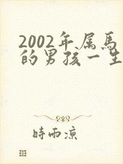 2002年属马的男孩一生的命运