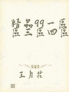 精品99一区二区三区四区电影