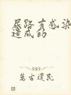 尿路有感染什么造成的