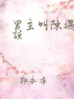 男主叫陈遇的小说