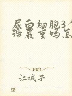 尿白细胞3个加号严重吗怎么治疗