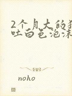 2个月大的猫咪吐白色泡沫