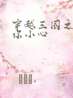 穿越三国之孔明你小心