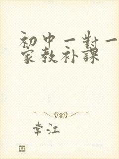 初中一对一数学家教补课