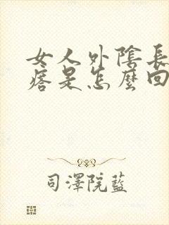 女人外阴长硬疙瘩是怎么回事