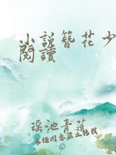 小说簪花少年郎阅读