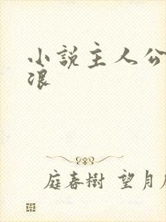 小说主人公叫沈浪