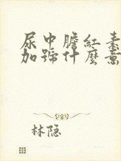 尿中胆红素一个加号什么意思