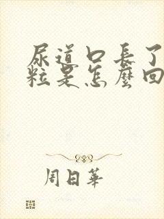 尿道口长了小颗粒是怎么回事