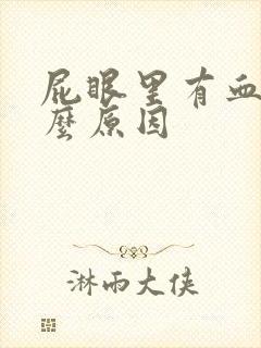 屁眼里有血是什么原因