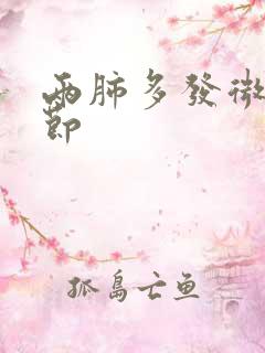 两肺多发微小结节