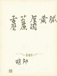 舌苔厚黄腻是什么原因