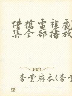 借枪电视剧40集全部播放