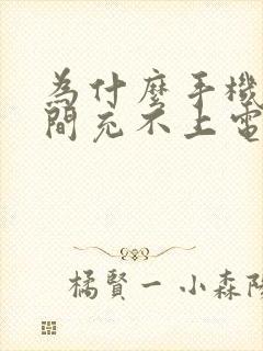 为什么手机长时间充不上电