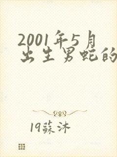 2001年5月出生男蛇的一生命运怎样