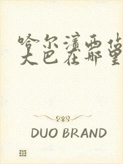 哈尔滨西站机场大巴在哪里坐