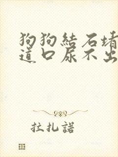 狗狗结石堵在尿道口尿不出来怎么办