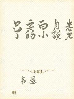 只要白月光就够了的小说免费阅读