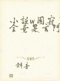 小说w团宠真千金竟是玄门大佬》