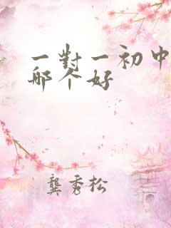 一对一初中辅导哪个好