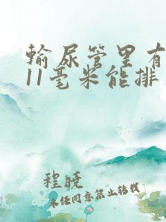 输尿管里有结石11毫米能排出吗