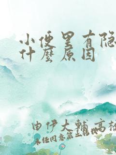 小便里有隐血是什么原因