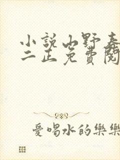 小说山野春色唐二正免费阅读