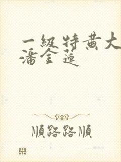 一级特黄大片 潘金莲