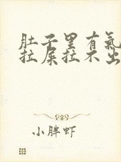 肚子里有气总想拉屎拉不出来怎么回事