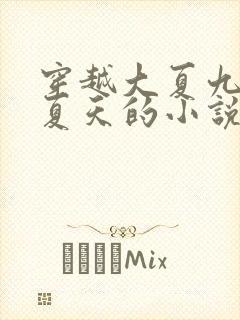 穿越大夏九皇子夏天的小说