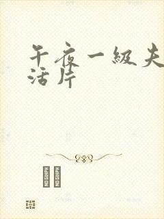 午夜一级夫妻生活片