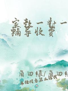 家教一对一上门辅导收费