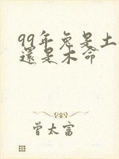 99年兔是土命还是木命