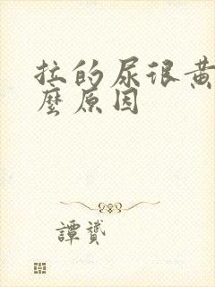 拉的尿很黄是什么原因